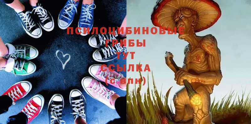 где купить   Вилюйск  сайты даркнета клад  Галлюциногенные грибы Magic Shrooms  mega  